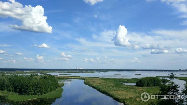 Отдых в Воронежской области (Россия) фото