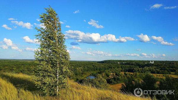 Отдых в Воронежской области (Россия) фото