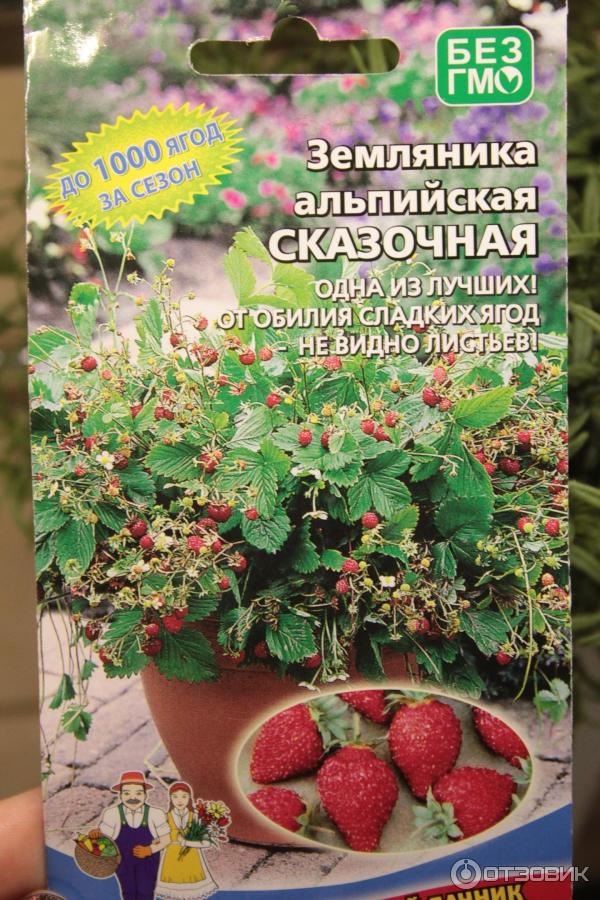 Отзыв о Семена Уральский дачник земляника альпийская "Сказочная" | Для ...