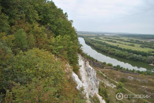 Отдых в Воронежской области (Россия) фото