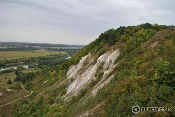 Отдых в Воронежской области (Россия) фото