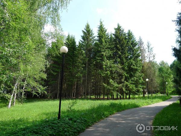 Залесская парк. Дендрологический парк Переславль Залесский. Дендросад Переславль Залесский. Переславль-Залесский сквер ветеранов. Дендрологический парк Ивантеевка.