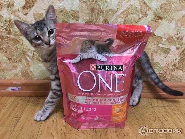 Корм для котят Purina One фото