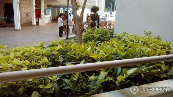 Отель Armas Bella Sun (Турция, Сиде) фото