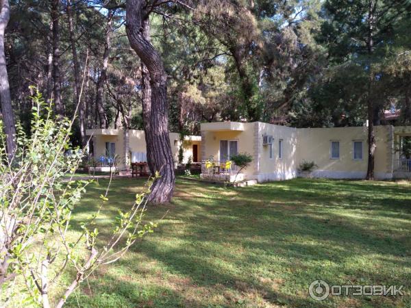 Beach club pinara 4 турция. Club pinara hotel 4 турция текирова. Beach club pinara 4 турция. Club pinara hotel 4 турция текирова бунгало. Пинара текирова.