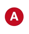 Anian551