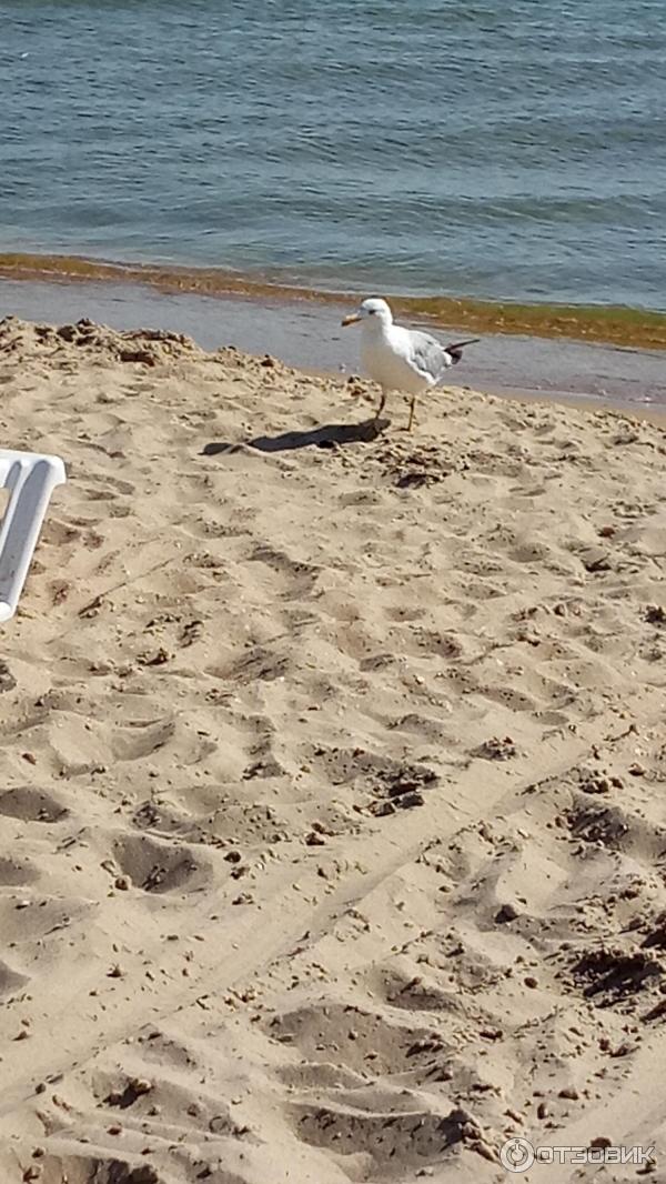 Мягкий песочек на пляже
