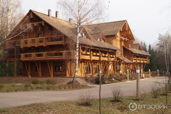 Экоотель Романов лес (Россия, Костромская область) фото