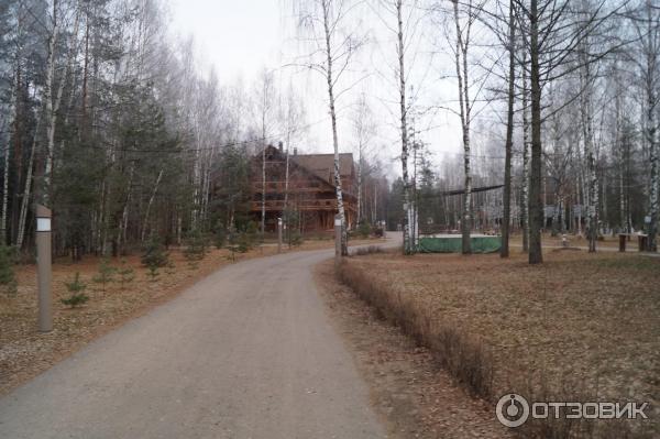 Экоотель Романов лес (Россия, Костромская область) фото