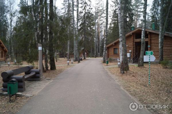 Экоотель Романов лес (Россия, Костромская область) фото