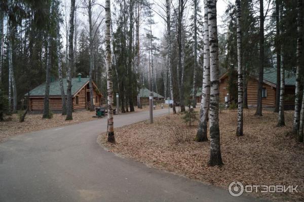 Экоотель Романов лес (Россия, Костромская область) фото