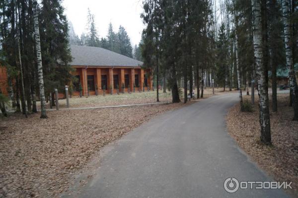 Экоотель Романов лес (Россия, Костромская область) фото