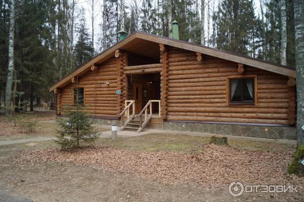 Экоотель Романов лес (Россия, Костромская область) фото
