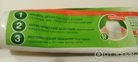 Зубная паста Лесной бальзам с иммуноактивным действием. Ромашка, облепиха фото