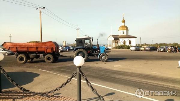 везут виноград на завод