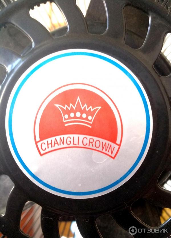 Напольный вентилятор Changli Crown FS-4531 фото