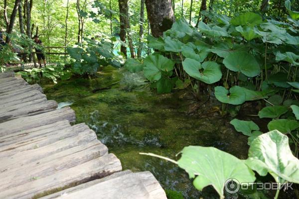 Национальный парк Плитвицкие озера (Хорватия, Лицко-Сеньская жупания) фото