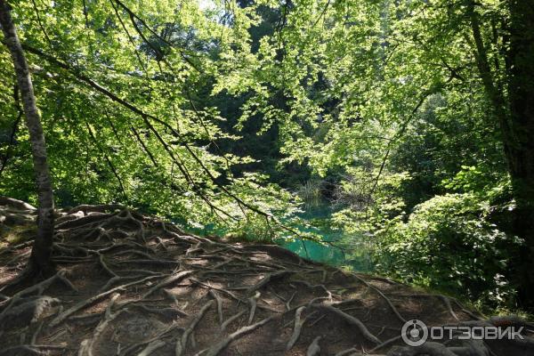 Национальный парк Плитвицкие озера (Хорватия, Лицко-Сеньская жупания) фото