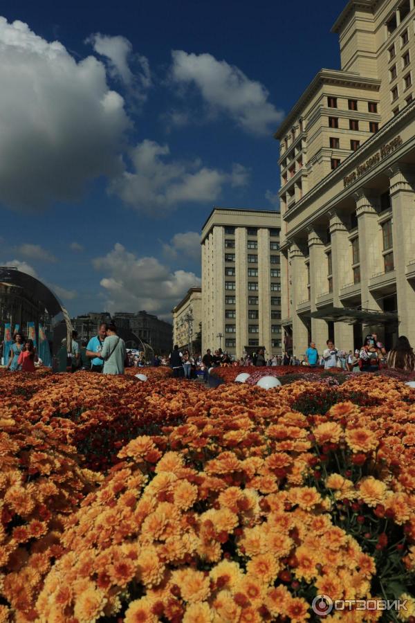 Площадь Манежная (Россия, Москва) фото