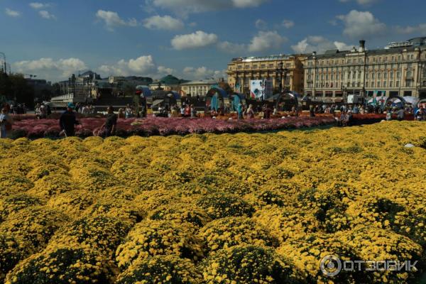 Площадь Манежная (Россия, Москва) фото