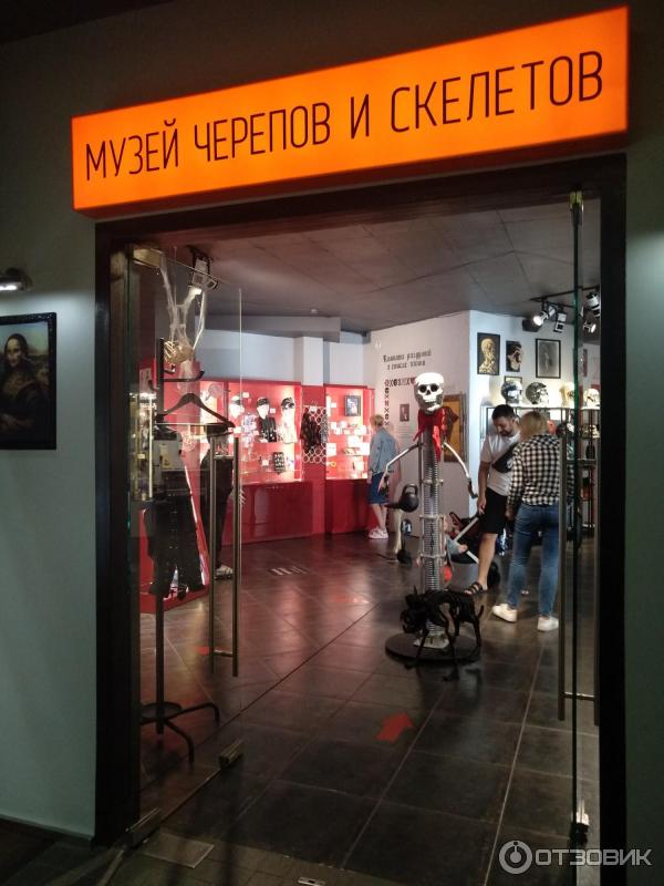 Музей Черепов И Скелетов Зеленоградск Фото