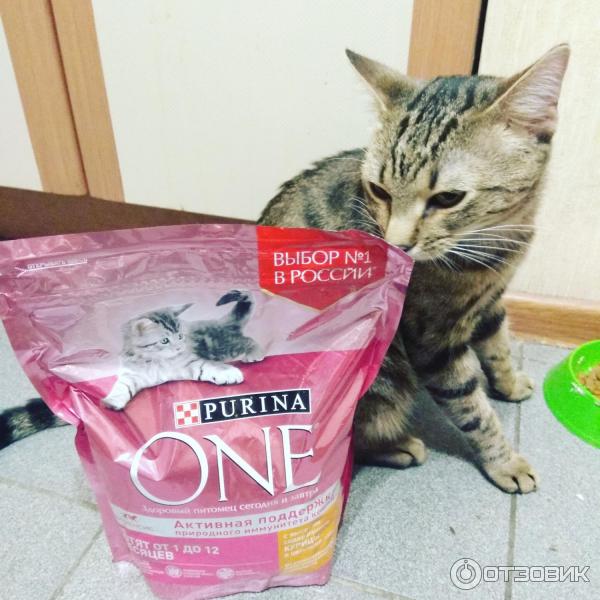 Сухой корм Purina One для котят от 1 до 12 месяцев фото