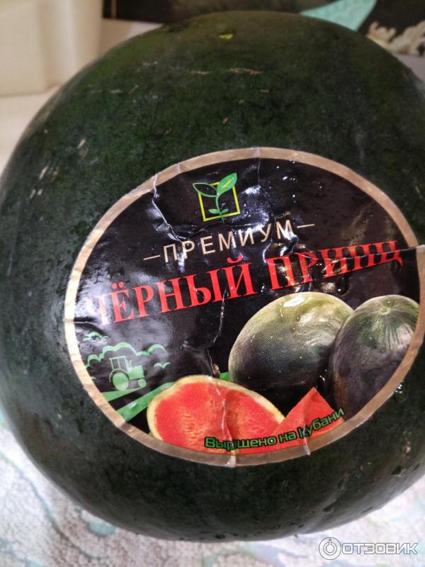 Арбуз Купить В Пятерочке Цена