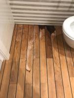 Ремонтная компания "Авальремонт" (Россия, Москва) фото