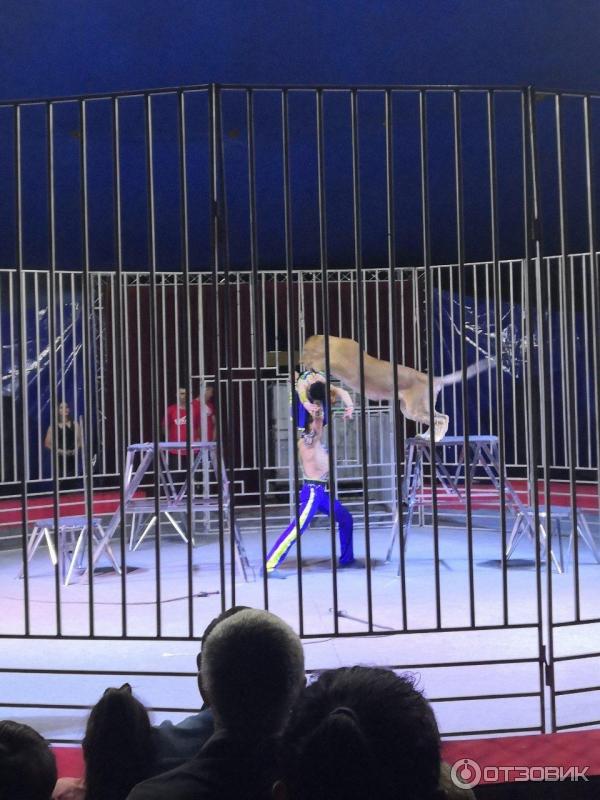 Цирк калининград 2024 август. Цирк в калининграде 2022. Цирк калининград. Цирк в калининграде 2024. Цирк в калининграде 2024.