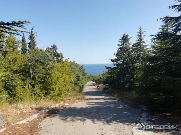 Дорога к морю