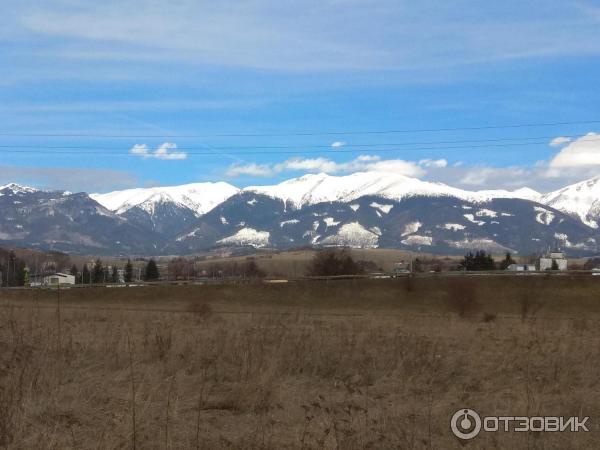 Кафе в городе Липтовский Микулаш (Словакия, Жилинский край) фото