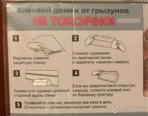 Отзыв о Клеевой домик от мышей "Котофей" | Почти как кот