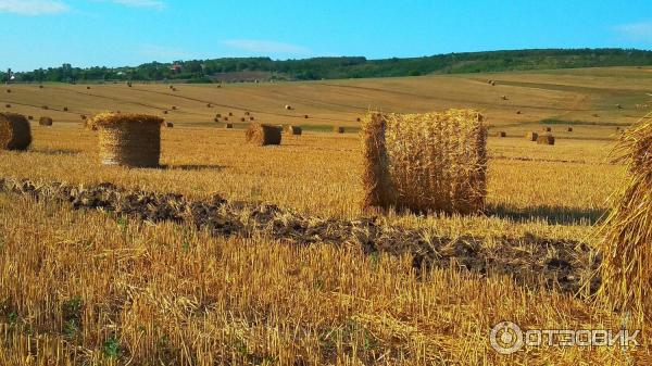 В Болгарию на машине (Болгария, Солнечный берег) фото