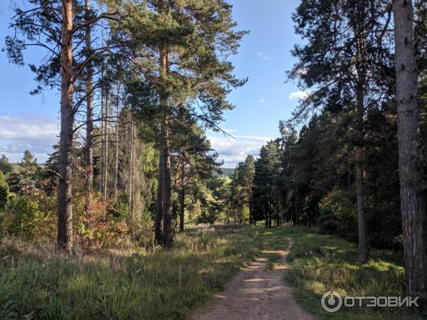 Пансионат Звенигородский РАН (Россия, Звенигород) фото