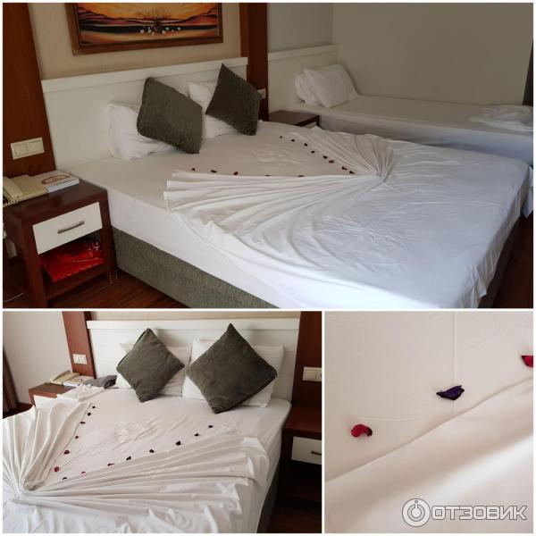 Отель Viking Star 5* (Турция, Кемер) фото