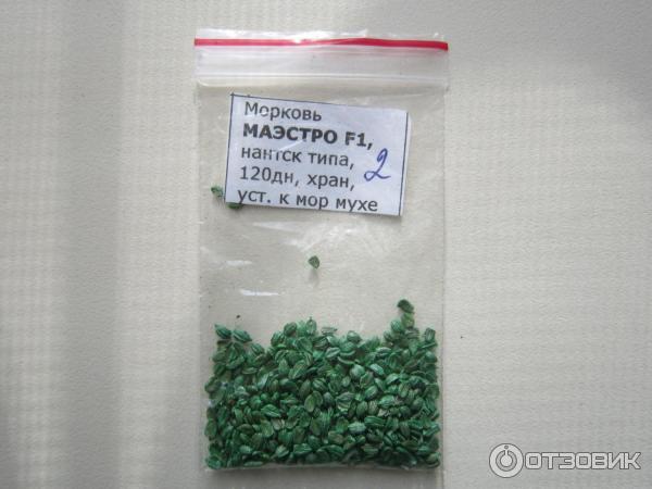 Морковь Маэстро Описание Сорта Фото Отзывы