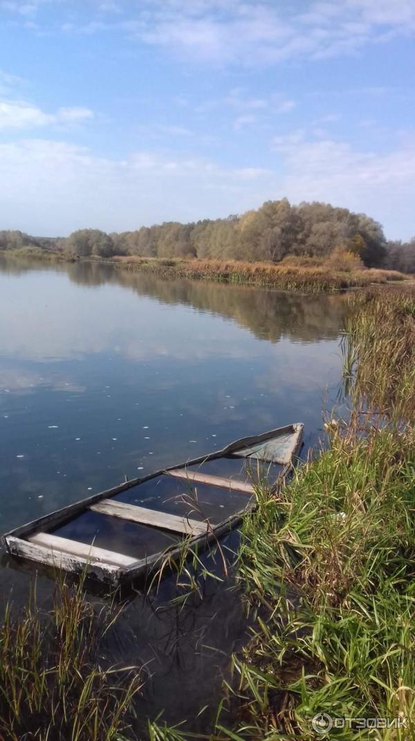 Отдых на реке Дон (Россия, Ростовская область) фото