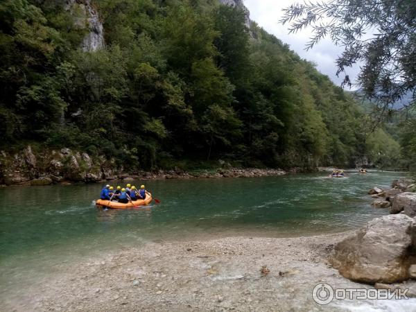 Рафтинг на реке Тара (Черногория) фото