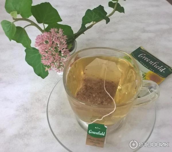 Чай Greenfield Rich Camomile фото