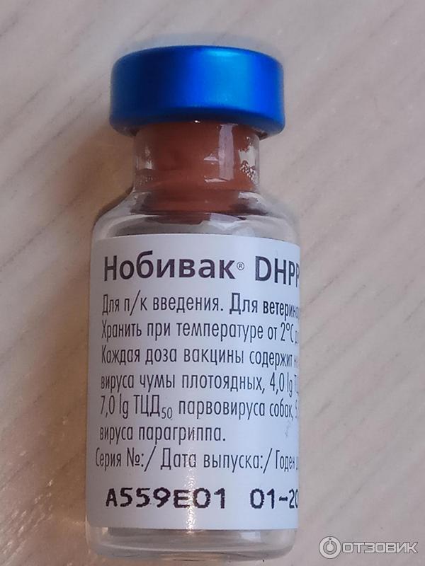 Вакцина Нобивак Dhppi Купить В Москве