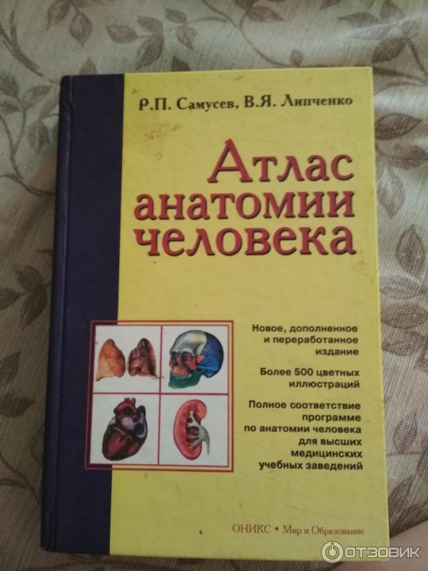 Анатомия липченко самусев. Самусев атлас анатомии. Анатомический атлас Самусев Липченко. . Самусев, р.п., Липченко, в.я..атлас анатомии человека.