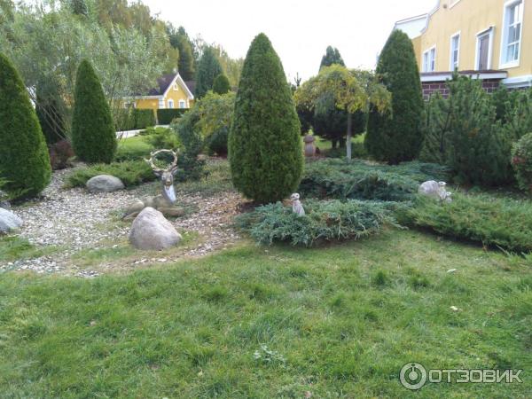 База отдыха Барская усадьба (Россия, д. Волга) фото