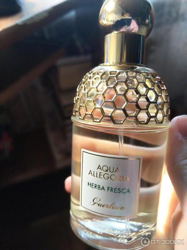 Туалетная вода Guerlain Aqua Allegoria Herba Fresca фото