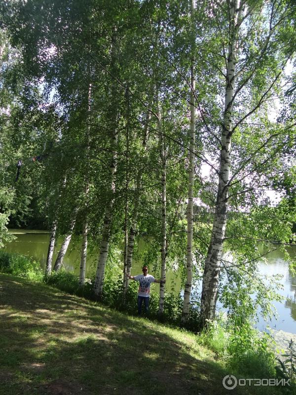 Музей деревянного зодчества Костромская слобода (Россия, Кострома) фото