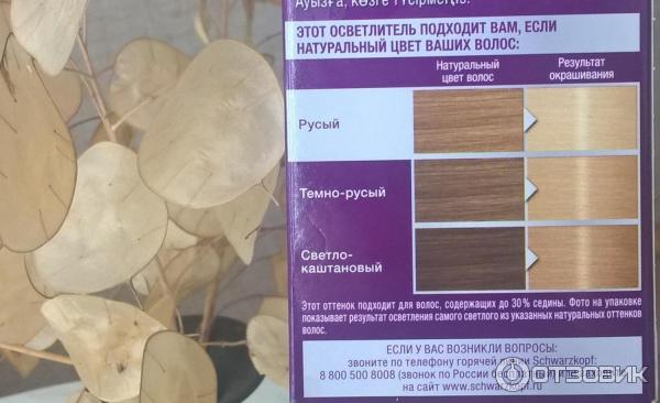 Стойкая крем-краска Palette PLO Ультра осветлители фото