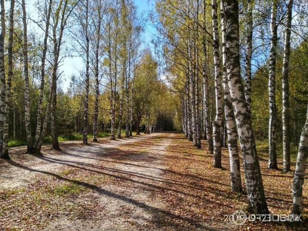 Озеро Светлояр (Россия, Нижегородская область) фото