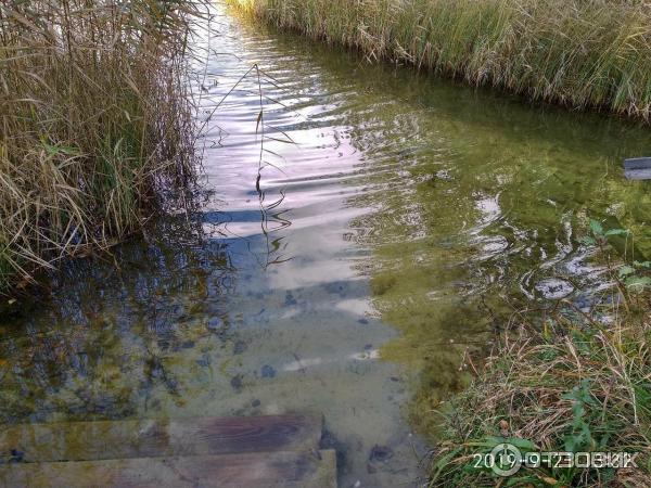 Озеро Светлояр (Россия, Нижегородская область) фото