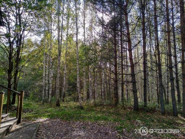 Озеро Светлояр (Россия, Нижегородская область) фото