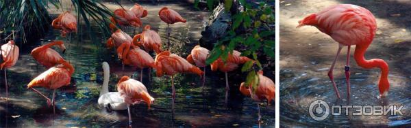 Ellie Schiller Homosassa Springs Wildlife State Park