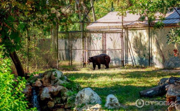 Ellie Schiller Homosassa Springs Wildlife State Park